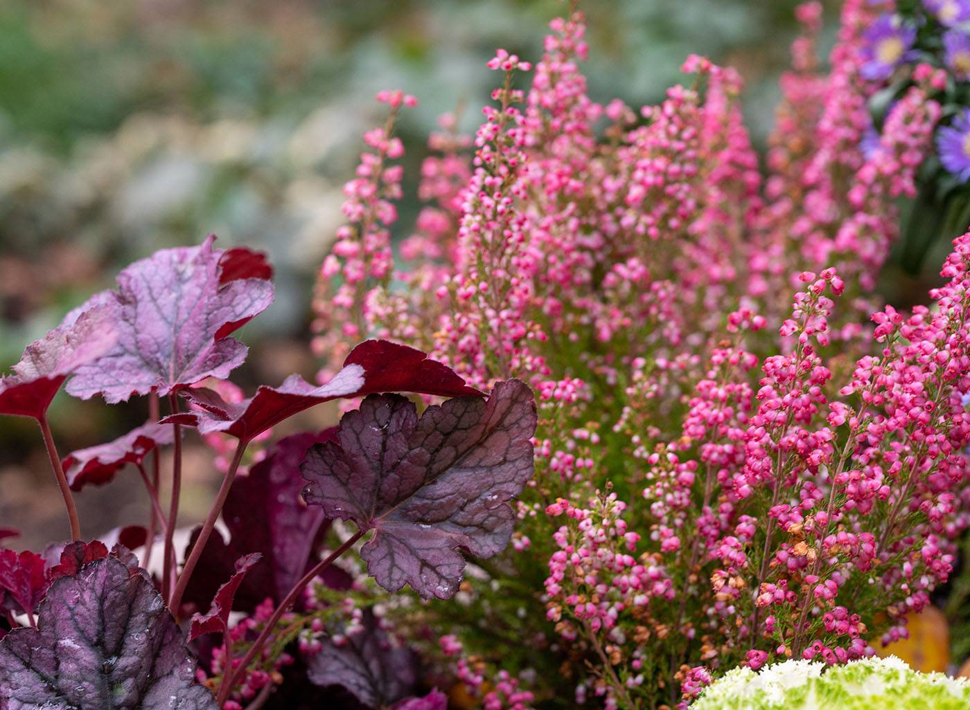 Проект Переделкино